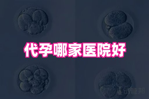 梦美助孕网 4